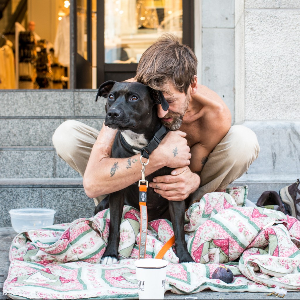 Blankets For The Homeless Is Calling Out For Help Montreall