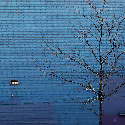 bluewall