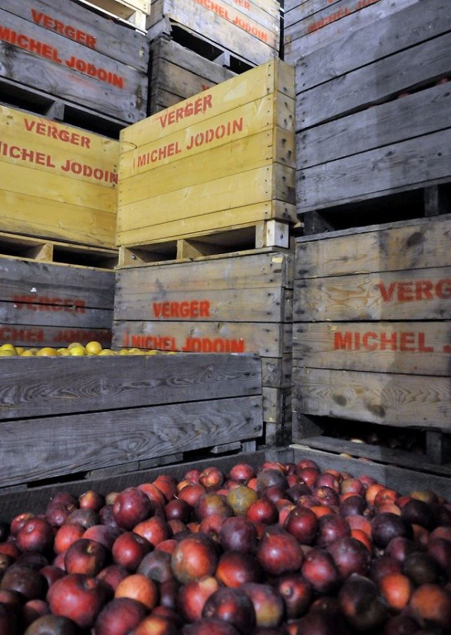 Cidrerie Michel Jodoin Rougemont Apples